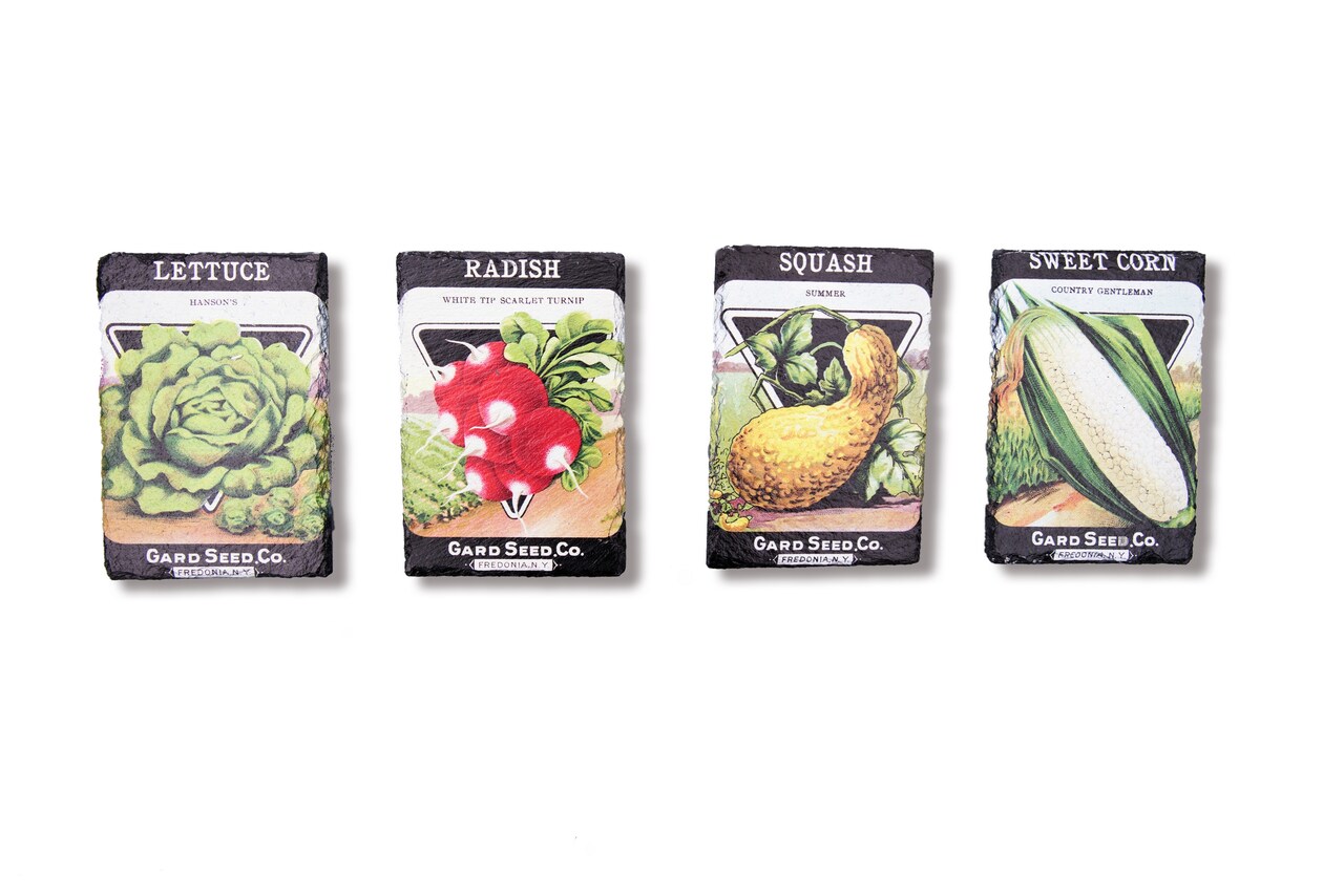 Veggie Seed Pack Assortment of 4 Small Slate Wall Art 4.25" x 6.25"